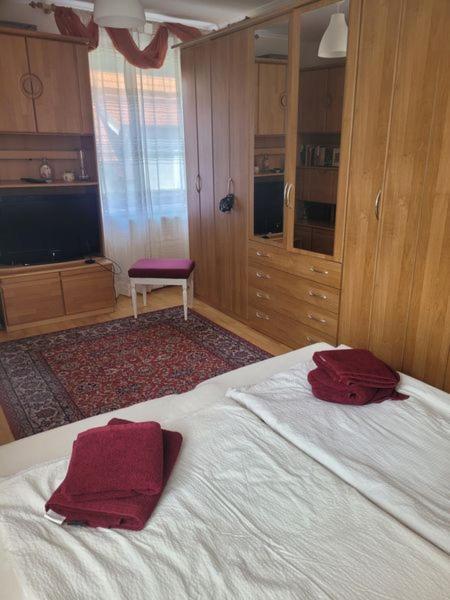 Ferienwohnung Korneuburg Bei Wien -1 Luaran gambar